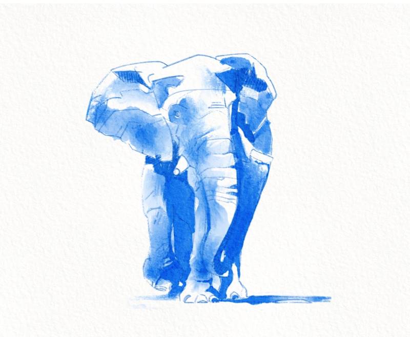 Elephant Watercolor Sketch by Hurca!