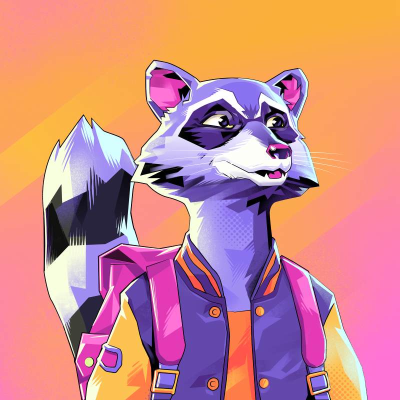 Raccoon Character Design by Illustration by Hurca!