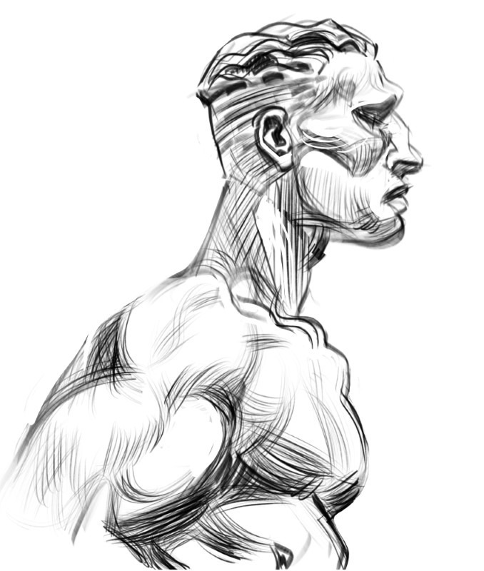 Strong Profile Sketch by Hurca!